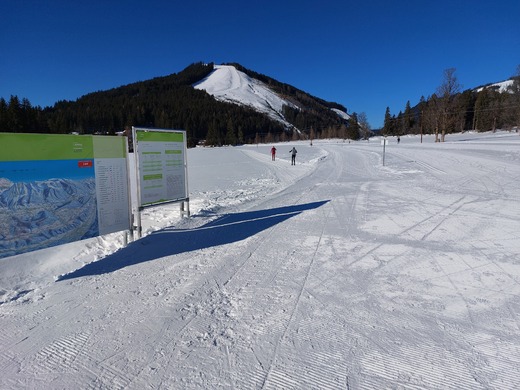 běžkařské tratě Ramsau